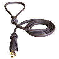 Walking 6 mm Round Leather Pitbull Leash