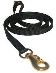20 mm Training and Walking Nylon Pitbull Leash