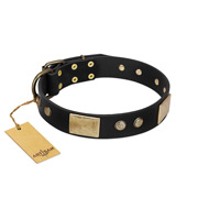 "Antique Gloss" FDT Artisan Black Leather Pitbull Collar with Bronze-like Plates and Small Studs