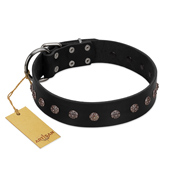 "Flower Rhapsody" FDT Artisan Premium Quaulity Black Leather Pitbull Collar