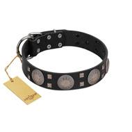 "Sun in Shining" Modern FDT Artisan Black Leather Pitbull Collar with Studs and Stars