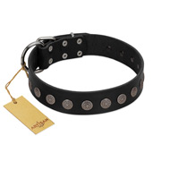 "Silent Star" Handmade FDT Artisan Designer Black Leather Pitbull Collar with Engraved Plates