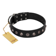 "Black Knight" Handmade FDT Artisan Black Leather Pitbull Collar with Silver-Like Studs