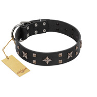 "Star Excitement" Modern FDT Artisan Black Leather Pitbull Collar with Studs and Stars