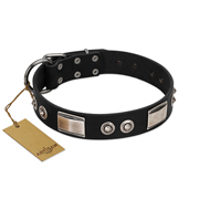 "Grand Wear" FDT Artisan Black Leather Pitbull Collar with Shining Plates and Spiked Studs