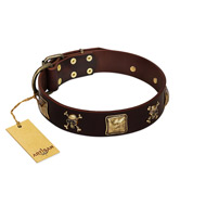 "Crazy Pirate" FDT Artisan Brown Leather Pitbull Collar with Old Bronze-Plated Skulls and Plates