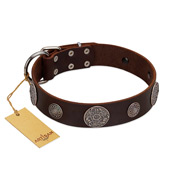 "Flashy Woof" FDT Artisan Brown Leather Pitbull Collar with Chrome Plated Brooches