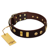 "Lord of Dogs" FDT Artisan Brown Leather Pitbull Collar with Old Bronze-like Dotted Studs and Tiles