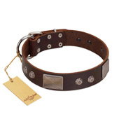 "Stone Stars" Stylish Handmade FDT Artisan Brown Leather Pitbull Collar