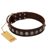 "Gothic Style" FDT Artisan Fancy Brown Leather Pitbull Collar with Silver-Like Decorations