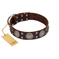"Sun in Barchans" Modern FDT Artisan Brown Leather Pitbull Collar with Engraved Stars on Round Plates and Studs