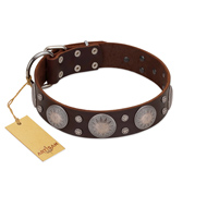"Imperial Legate" FDT Artisan Brown Leather Pitbull Collar with Big Round Plates