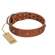 "Road Rider" FDT Artisan Tan Leather Pitbull Collar with Old Silver-like Skulls and Medallions