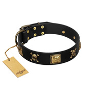 "Welcome on Board" FDT Artisan Black Leather Pitbull Collar with Skulls and Crossbones Combined with Squares