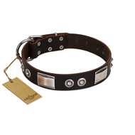 "Baller Status" FDT Artisan Brown Leather Pitbull Collar Adorned with a Set of Chrome Plated Studs and Plates