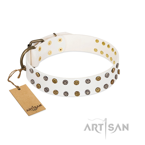 Stylish design full grain genuine leather dog collar with durable embellishments