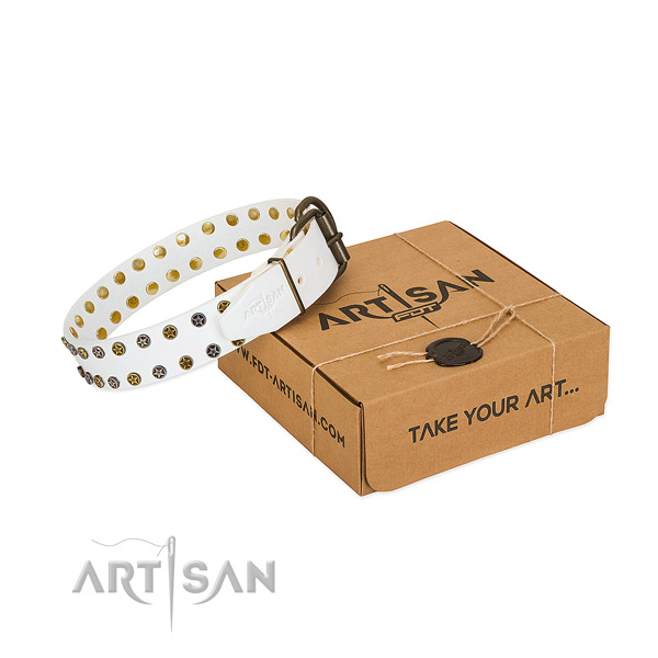 Significant natural leather dog collar with corrosion proof embellishments