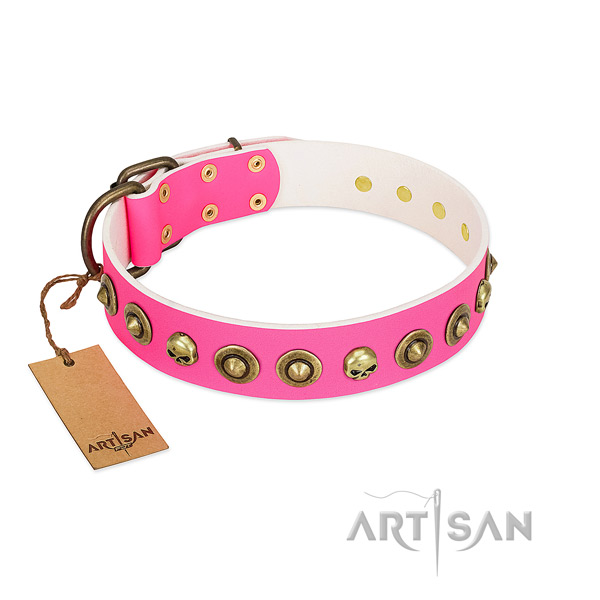 Exceptional natural leather dog collar with strong adornments