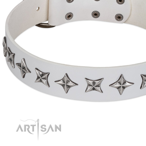 Handy use decorated dog collar of strong full grain leather