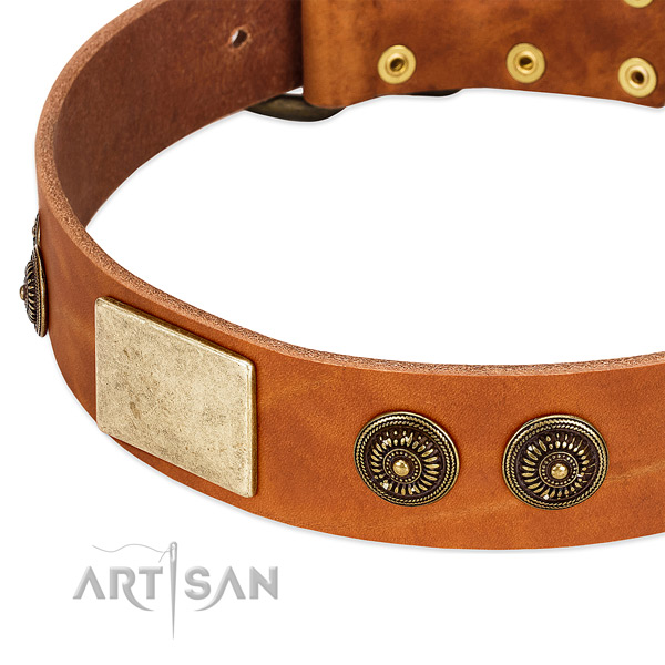 Convenient dog collar handmade for your beautiful pet