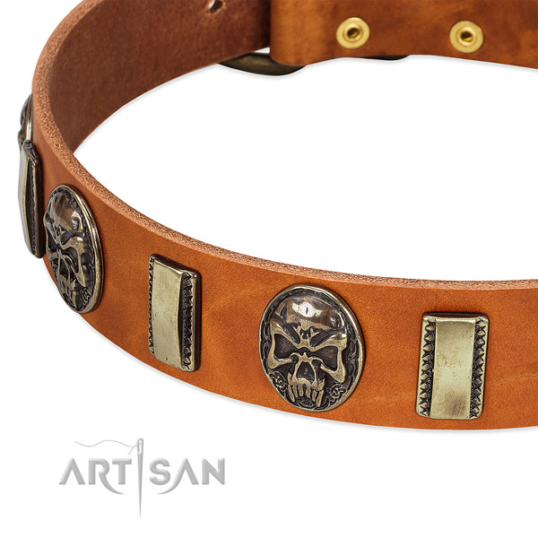 Corrosion resistant embellishments on full grain leather dog collar for your doggie