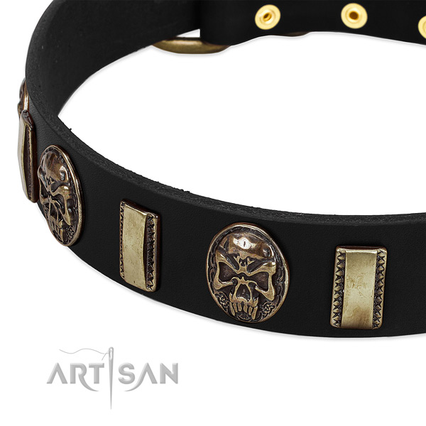 Durable D-ring on full grain natural leather dog collar for your four-legged friend