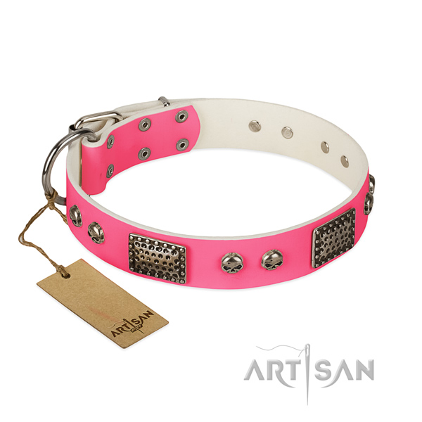 Adjustable full grain genuine leather dog collar for stylish walking your canine