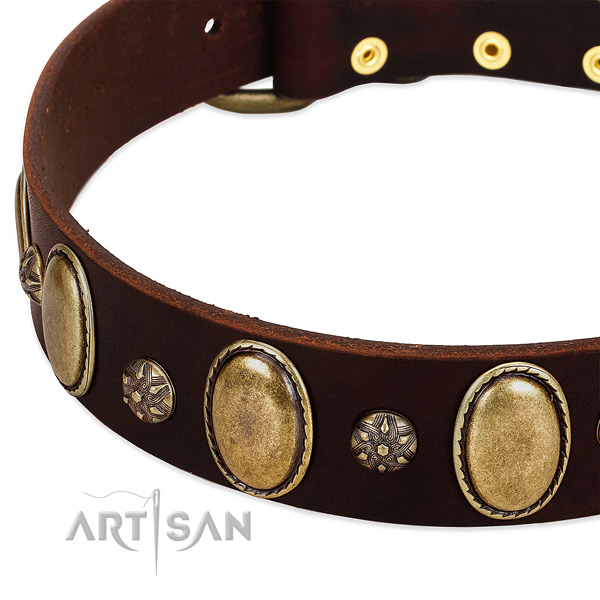 Daily walking soft to touch full grain natural leather dog collar