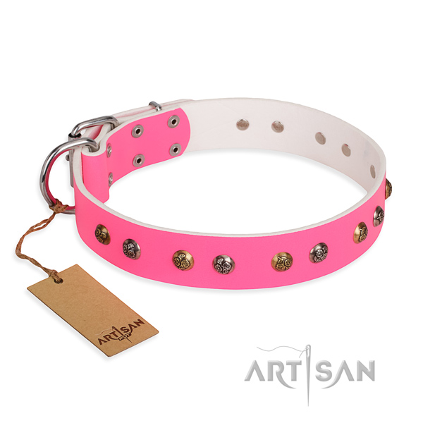 Daily walking easy to adjust dog collar with rust resistant buckle
