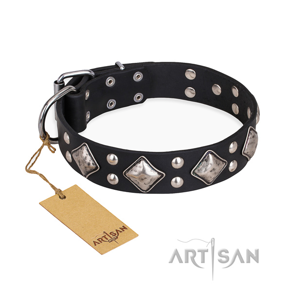 Daily walking easy to adjust dog collar with rust resistant buckle