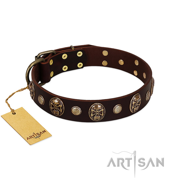 Extraordinary genuine leather dog collar for daily walking