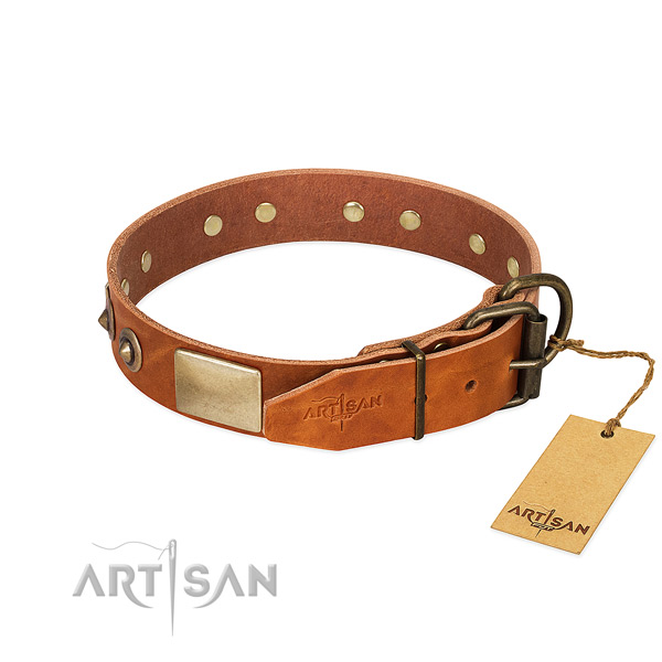 Corrosion resistant embellishments on everyday use dog collar