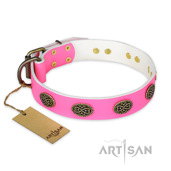 Incredible full grain genuine leather dog collar for everyday walking