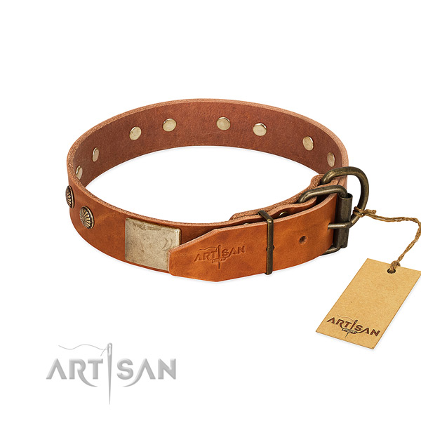 Corrosion proof hardware on everyday walking dog collar