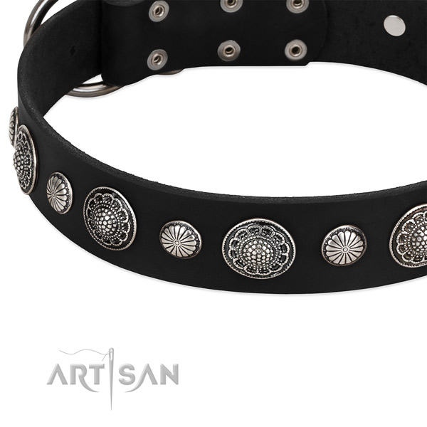 Full grain natural leather collar with corrosion resistant buckle for your stylish pet