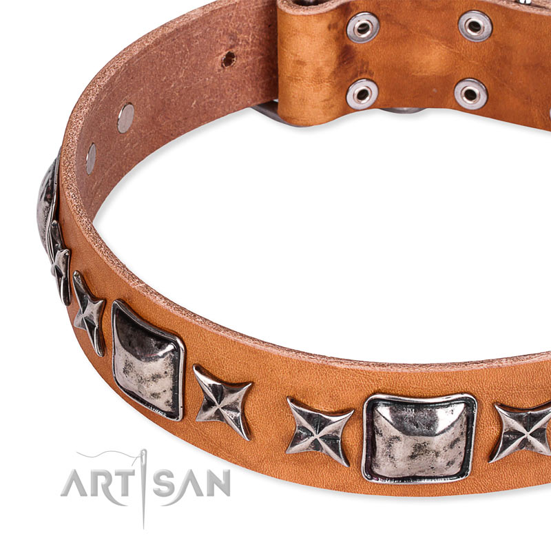 Female pitbull collars hotsell