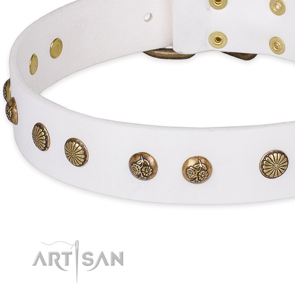 Leather collar with durable D-ring for your stylish canine