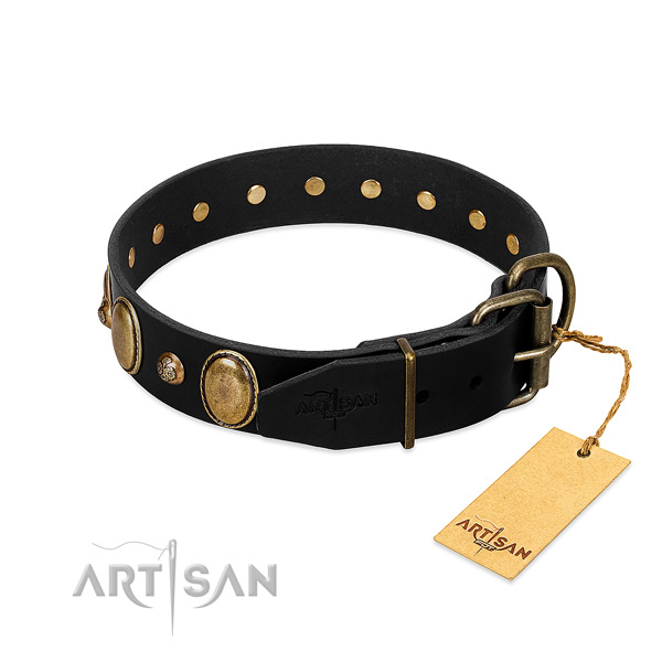 Corrosion resistant traditional buckle on full grain leather collar for walking your dog