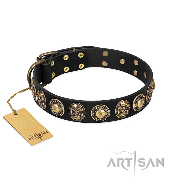 Easy to adjust genuine leather dog collar for basic training your pet