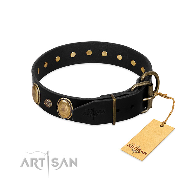 Daily use best quality leather dog collar