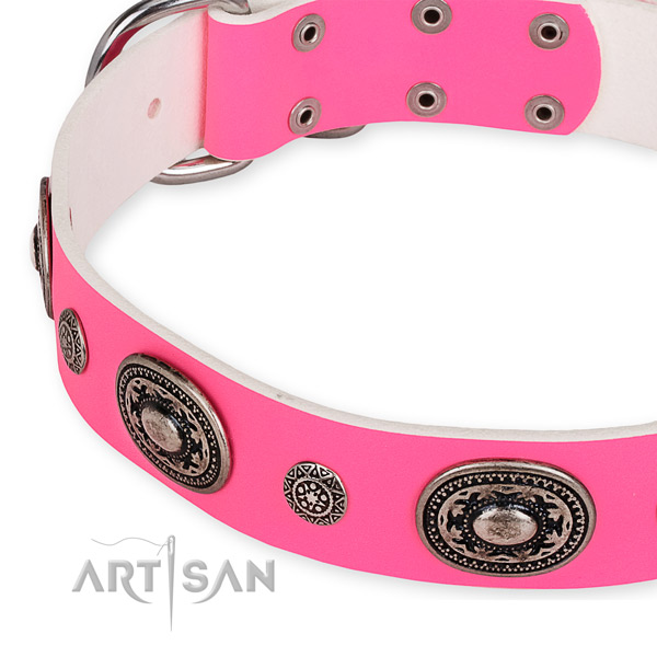 Leather dog collar with unusual reliable embellishments