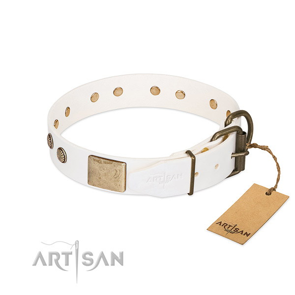 Durable studs on comfy wearing dog collar