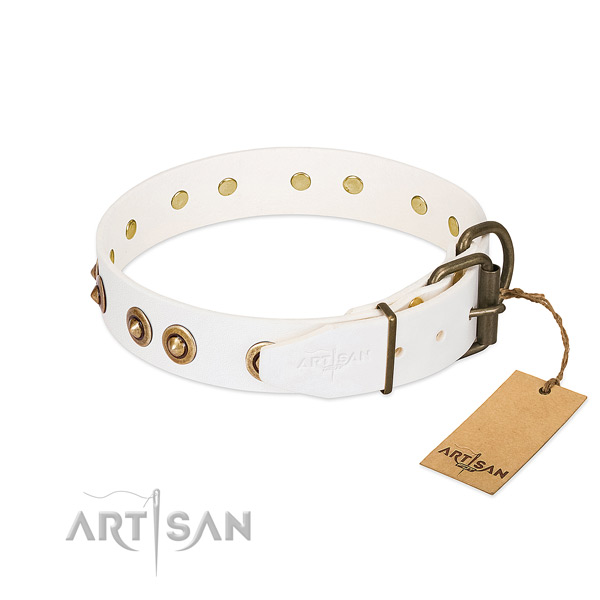 Corrosion resistant studs on full grain leather dog collar for your dog