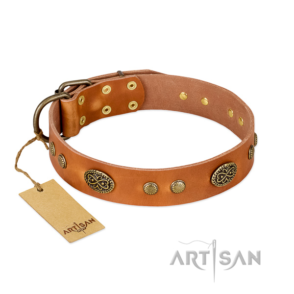 Rust resistant adornments on leather dog collar for your doggie
