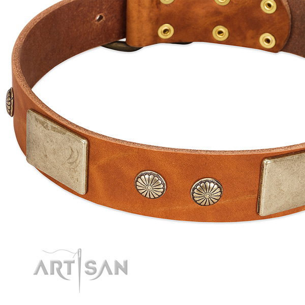 Corrosion proof traditional buckle on genuine leather dog collar for your doggie