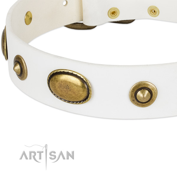 Rust resistant buckle on leather dog collar for your dog
