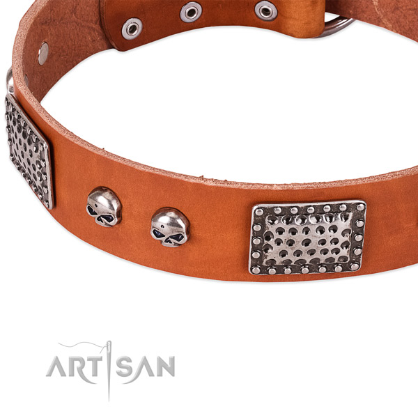 Reliable embellishments on leather dog collar for your pet