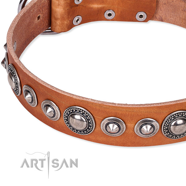 Basic training decorated dog collar of fine quality full grain genuine leather