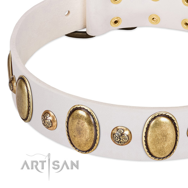 Natural leather dog collar with impressive decorations