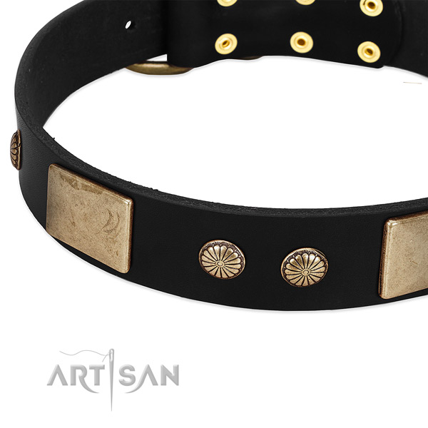 Genuine leather dog collar with embellishments for everyday use